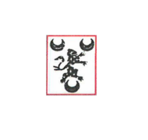 Susan Brownringg-Smith Consulting